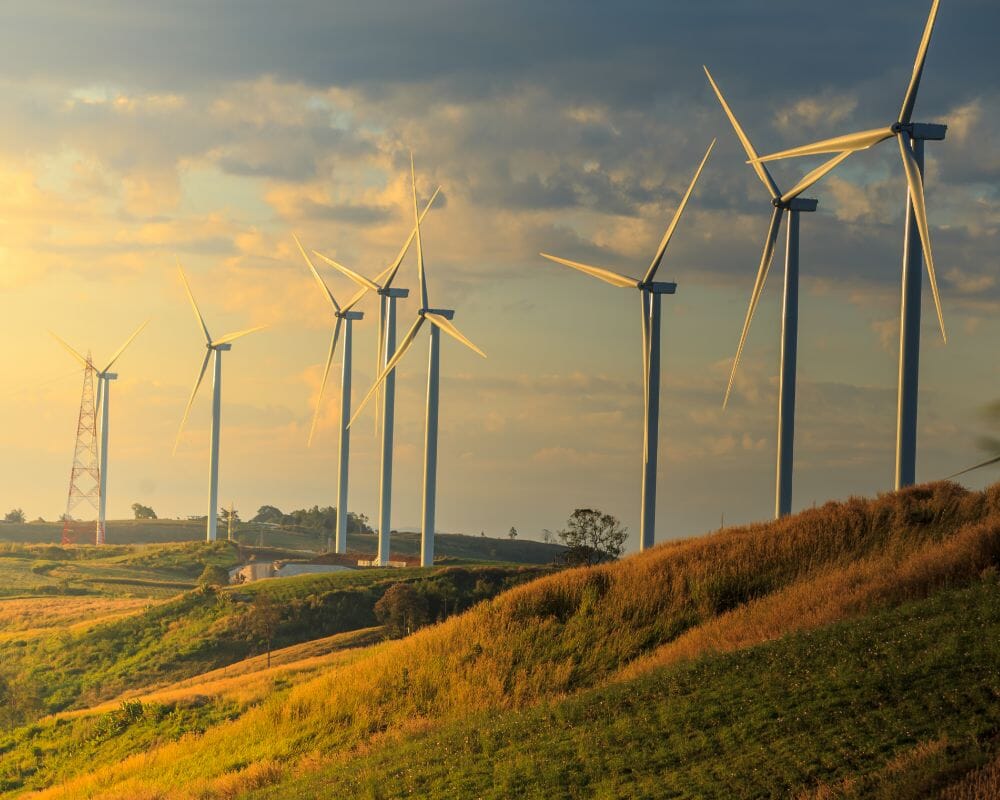 wind mill - wind farm