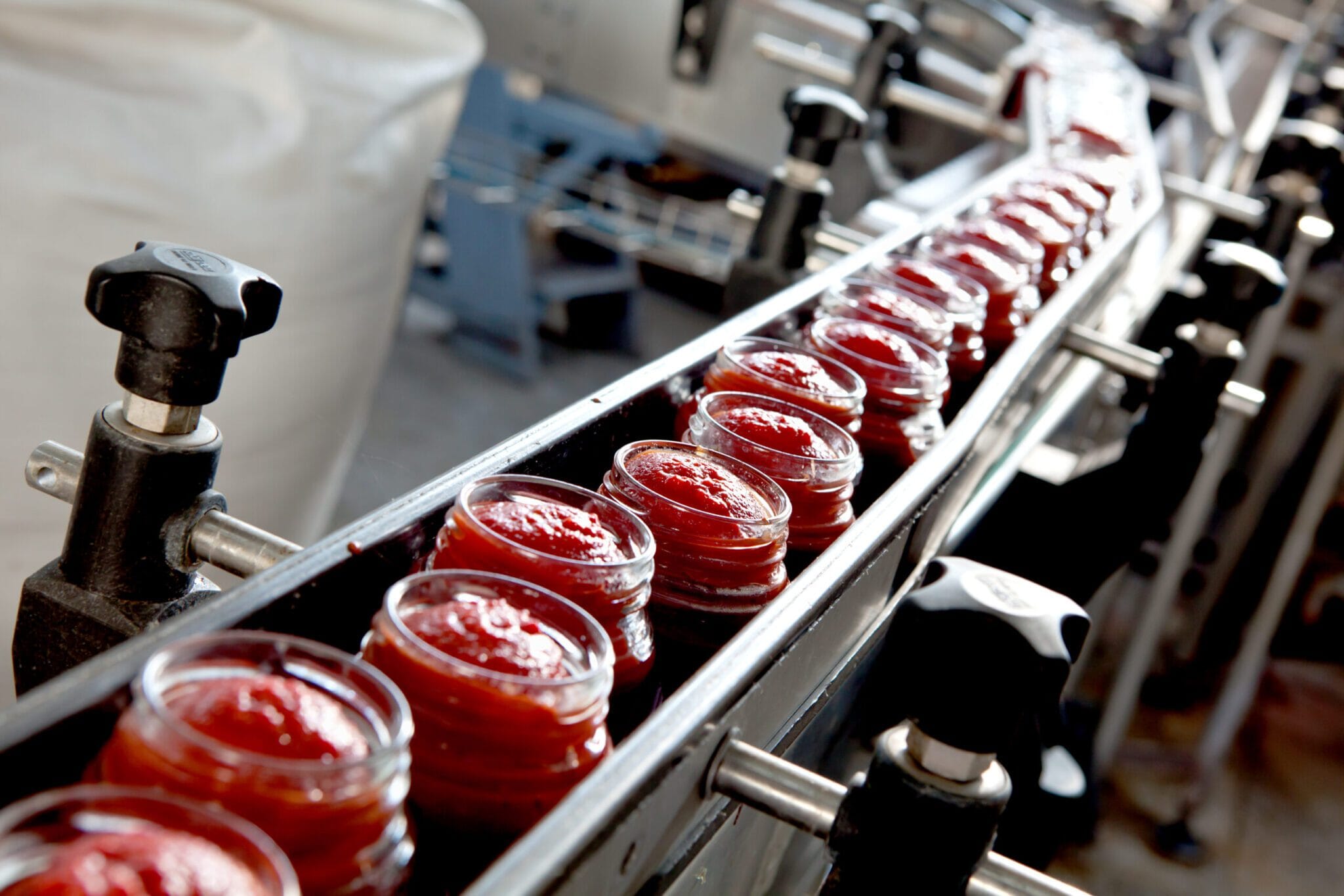 Food processing line where compressed air contacting food products must be oil-free.
