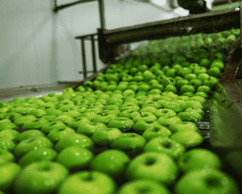 green apples