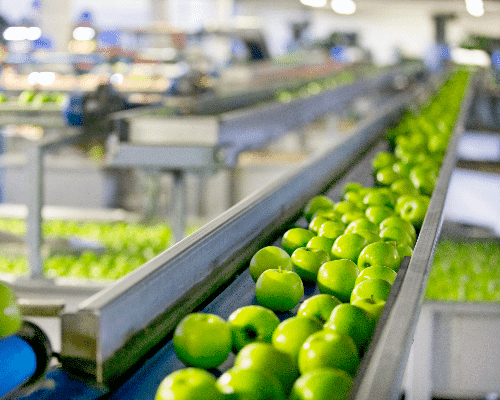 apple in conveyor belt