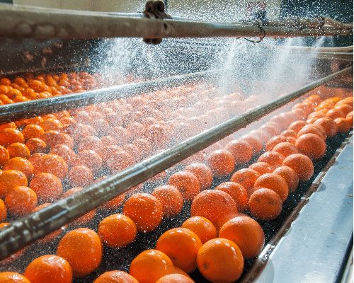 citrus washer