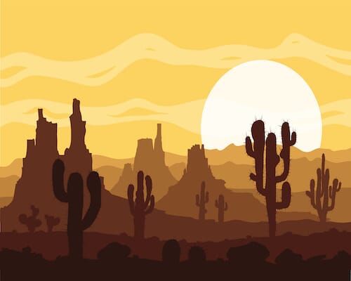 sunset in the desert with cactus