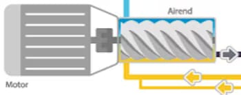 Two interlocking helical rotors meshing to compress air inside a rotary screw compressor airend.