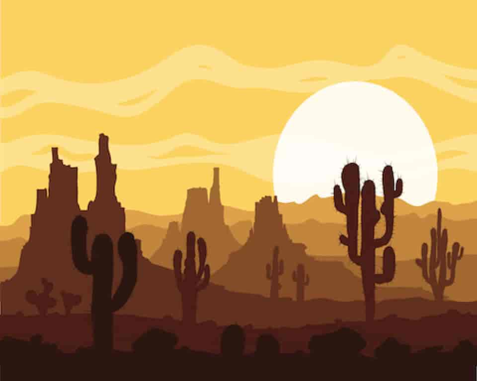 sunset in the desert with cactus